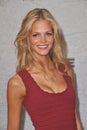 Erin Heatherton Royalty Free Stock Photo