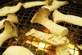 Eringii Mushroom on a grill Royalty Free Stock Photo