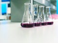 The Erlenmeyer or Conical flask on bench laboratory, with purple solvent forming reaction between boric acid and ammonia solution. Royalty Free Stock Photo
