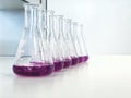 The Erlenmeyer or Conical flask on bench laboratory, with purple solvent forming reaction between boric acid and ammonia solution. Royalty Free Stock Photo
