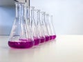 The Erlenmeyer Flask on bench laboratory, with bright pink solvent solution from titration experiment, acidity, alkalinity. Royalty Free Stock Photo