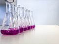 The Erlenmeyer Flask on bench laboratory, with bright pink solvent solution from titration experiment. Royalty Free Stock Photo