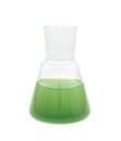 Erlenmeyer flask filled with liquid Royalty Free Stock Photo