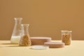 Erlenmeyer flasks, petri dish and a beaker containing soybeans and milk arranged with brown podiums