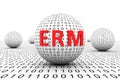ERM conceptual sphere binary code 3d Royalty Free Stock Photo