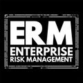 ERM Enterprise Risk Management - methods and processes used by organizations to manage risks and seize opportunities, acronym text