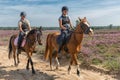 Girls riding horse through heath in Dutch National park Veluwe