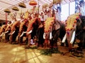 Elephant pooja at shiva temple utsav