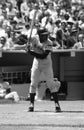 Ernie Banks Chicago Cubs