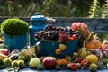Colorful harvest time in the garden Royalty Free Stock Photo