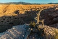 The Eroded Canyon Walls of Juniper Draw From Eagle Point