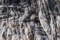 Eroded cracked granite cliff in multiple gray shades Royalty Free Stock Photo