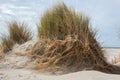 Eroded dune Royalty Free Stock Photo