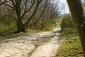 Eroded footpath on South Downs, Sussex, England