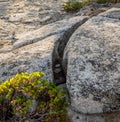 Eroded granite outcrop Royalty Free Stock Photo