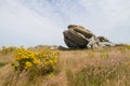 Eroded granite Royalty Free Stock Photo