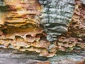 Eroded Honecomb Sandstone Pattern, Sydney, Australia