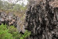 Eroded Limestone Bluff Royalty Free Stock Photo