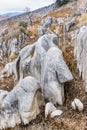 Eroded Limestone at Hiraodai Karst Plateau