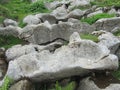 Limestone erosion in the alps in Gamserrugg