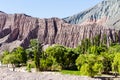 Eroded mountains in the Argentine Andes and green vegetation