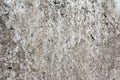 Eroded old grey concrete at a wall for dirty texture, background Royalty Free Stock Photo