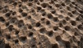 Eroded Sandstone Texture with Natural Holes Royalty Free Stock Photo
