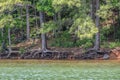 Eroded shoreline at the lake Royalty Free Stock Photo