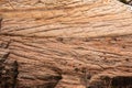 Eroded Wall Of Zion Canyon Texture Royalty Free Stock Photo
