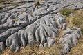 Eroded Water Washed Limestone