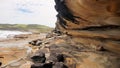 Sandstone Cliff Cape Banks Sydney in the Botany Kamay Bay National Park