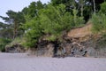 Eroding Baltic Coastline With Cracked Clay Cliff and Lush Summer Trees Above Sandy Beach Royalty Free Stock Photo