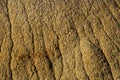 Eroding textures of the Badlands National Park South Dakota Royalty Free Stock Photo