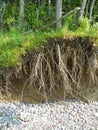 Erosion along the shoreline of Lake Ontario Royalty Free Stock Photo