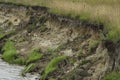 Erosion on the bank of a meandering river Bug Royalty Free Stock Photo
