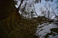 Pewits Nest State Natural Area in Winter near Baraboo WI Looking up Royalty Free Stock Photo