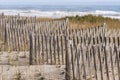 Erosion fence and American beachgrass protecting Nauset Beach sand dune Royalty Free Stock Photo