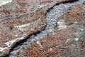 Erosion from flood waters. Spring stream. Ground washed away by a stream