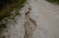 erosion grooves after rains in a dirt road. deep ground after a storm. lack of Royalty Free Stock Photo