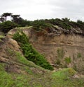 Erosion is happening fast. Large chunks of land lost, washed away by rain and wind.