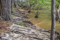 Erosion on the lake shoreline Royalty Free Stock Photo