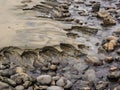 Erosion patterns in the sand