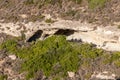 Erosion process in rocks and vegetation in Milos Royalty Free Stock Photo