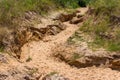 Erosion of sandy soil due to rainwater, ravine formation Royalty Free Stock Photo