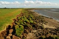 Erosion of shoreline, Solway Coast Royalty Free Stock Photo