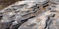 Erosion at White Oak Lake State Park