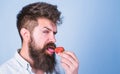 Erotic concept. Oral pleasure. That is how tastes summer. Man handsome hipster with long beard licking strawberry