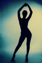 Erotic silhouette Royalty Free Stock Photo