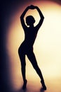 Erotic silhouette Royalty Free Stock Photo