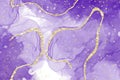 Purple and Gold Abstract Alcohol Ink Background Royalty Free Stock Photo